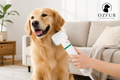 2 in 1 Pet Drying Brush & hair dryer